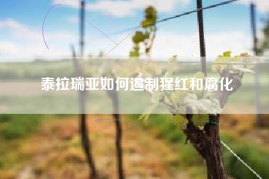 泰拉瑞亚如何遏制猩红和腐化