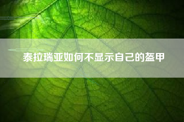 泰拉瑞亚如何不显示自己的盔甲