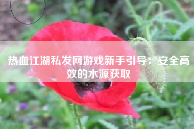 热血江湖私发网游戏新手引导：安全高效的水源获取