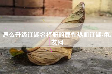 怎么升级江湖名将册的属性热血江湖sf私发网