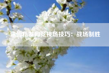 诛仙私发网竞技场技巧：战场制胜