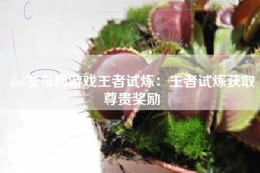 dnf发布网游戏王者试炼：王者试炼获取尊贵奖励