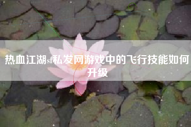 热血江湖sf私发网游戏中的飞行技能如何升级