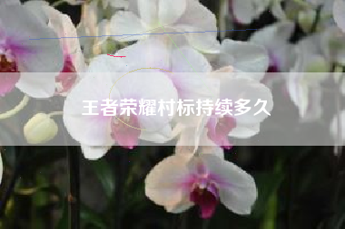 王者荣耀村标持续多久