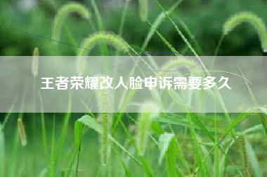 王者荣耀改人脸申诉需要多久