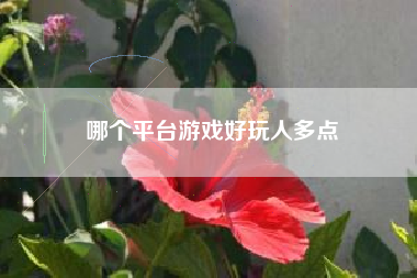 哪个平台游戏好玩人多点