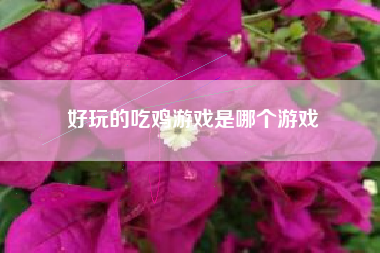 好玩的吃鸡游戏是哪个游戏