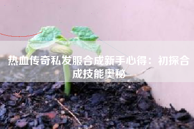 热血传奇私发服合成新手心得：初探合成技能奥秘