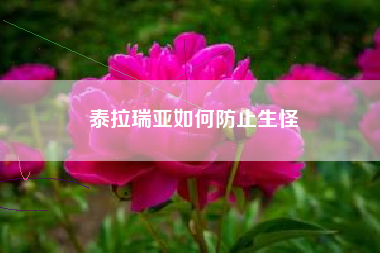 泰拉瑞亚如何防止生怪