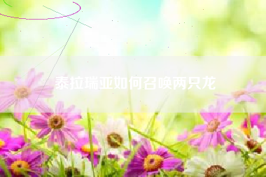 泰拉瑞亚如何召唤两只龙