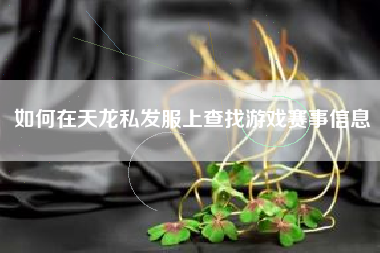 如何在天龙私发服上查找游戏赛事信息