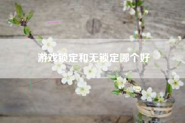 游戏锁定和无锁定哪个好