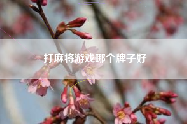 打麻将游戏哪个牌子好