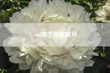 sod哪个游戏能开