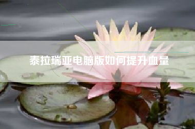 泰拉瑞亚电脑版如何提升血量