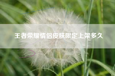 王者荣耀情侣皮肤限定上架多久