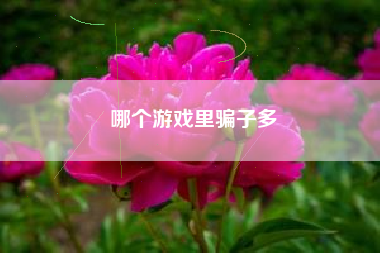 哪个游戏里骗子多