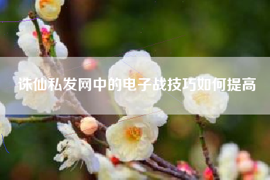 诛仙私发网中的电子战技巧如何提高