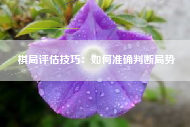 棋局评估技巧：如何准确判断局势