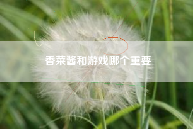 香菜酱和游戏哪个重要