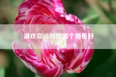 游戏命运创世哪个角色好