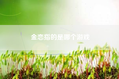金恋指的是哪个游戏