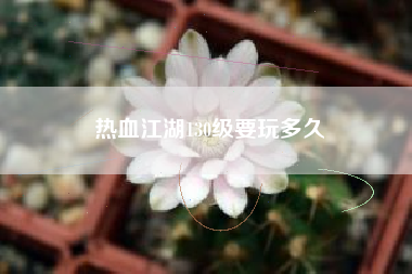 热血江湖130级要玩多久