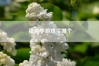 视频小游戏买哪个