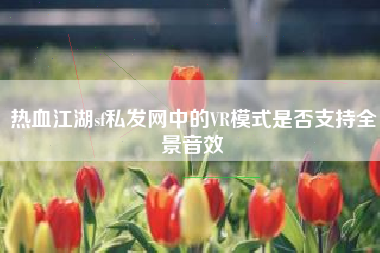 热血江湖sf私发网中的VR模式是否支持全景音效