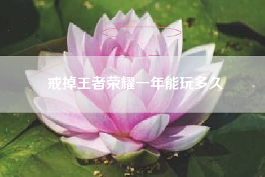 戒掉王者荣耀一年能玩多久