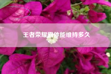王者荣耀霸体能维持多久