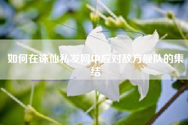 如何在诛仙私发网中应对敌方舰队的集结