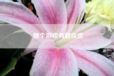 哪个游戏有超级虎