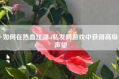 如何在热血江湖sf私发网游戏中获得高级声望