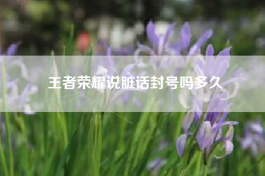 王者荣耀说脏话封号吗多久
