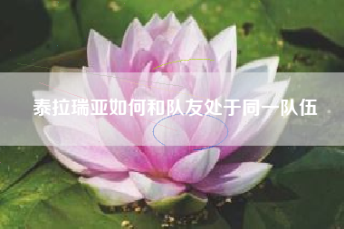 泰拉瑞亚如何和队友处于同一队伍