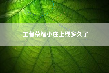 王者荣耀小庄上线多久了