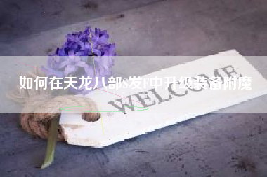 如何在天龙八部S发F中升级装备附魔