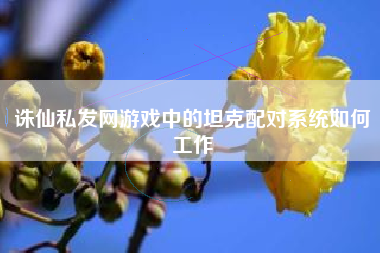 诛仙私发网游戏中的坦克配对系统如何工作