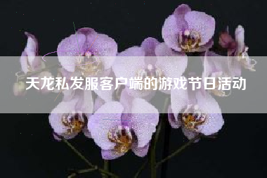 天龙私发服客户端的游戏节日活动