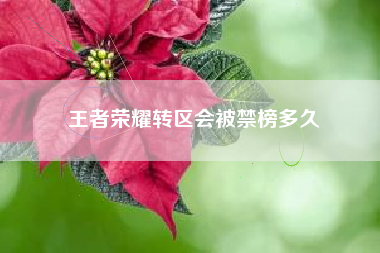 王者荣耀转区会被禁榜多久