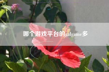 哪个游戏平台的galgame多