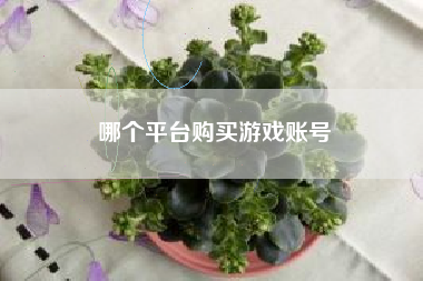哪个平台购买游戏账号