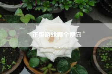 正版游戏哪个便宜