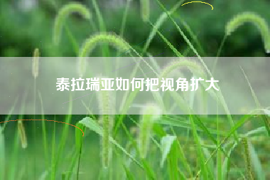 泰拉瑞亚如何把视角扩大