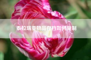 泰拉瑞亚物品存档如何复制