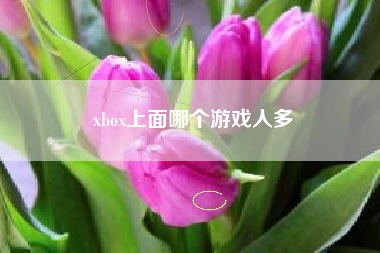 xbox上面哪个游戏人多