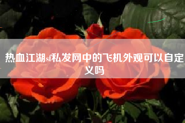 热血江湖sf私发网中的飞机外观可以自定义吗