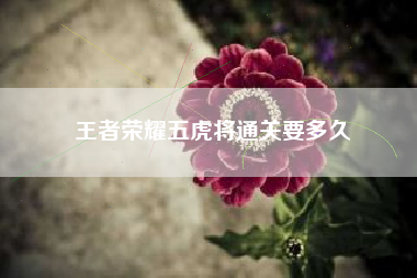 王者荣耀五虎将通关要多久
