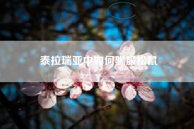 泰拉瑞亚中如何驯服松鼠